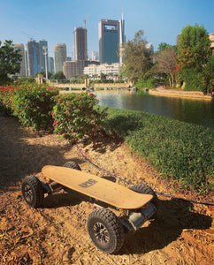 Street or Off-road Electric Skateboards